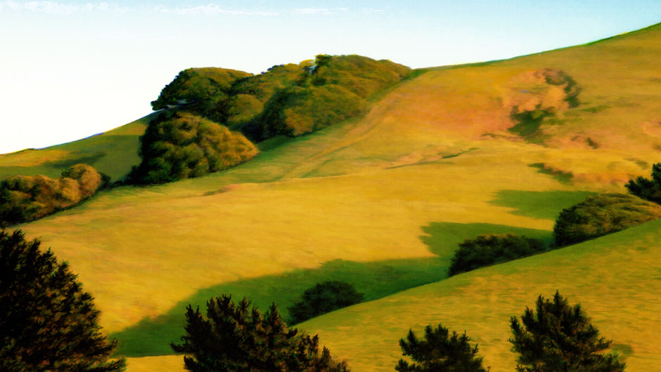 Petaluma Hills