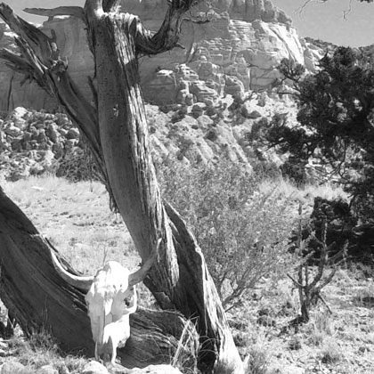 Ghost Ranch, New Mexico